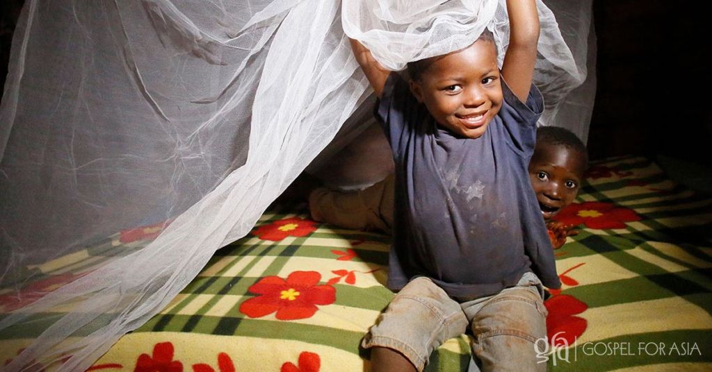 Malaria. Though eradicated in many developed nations, malaria still claims thousands of lives around the world. WHO highlights needs for fighting malaria.
