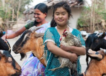 It’s that time of year again when Gospel for Asia and many other faith-based outreach organizations publish their Christmas gift catalogs. Two of the seemingly ubiquitous gifts available are chickens and goats.