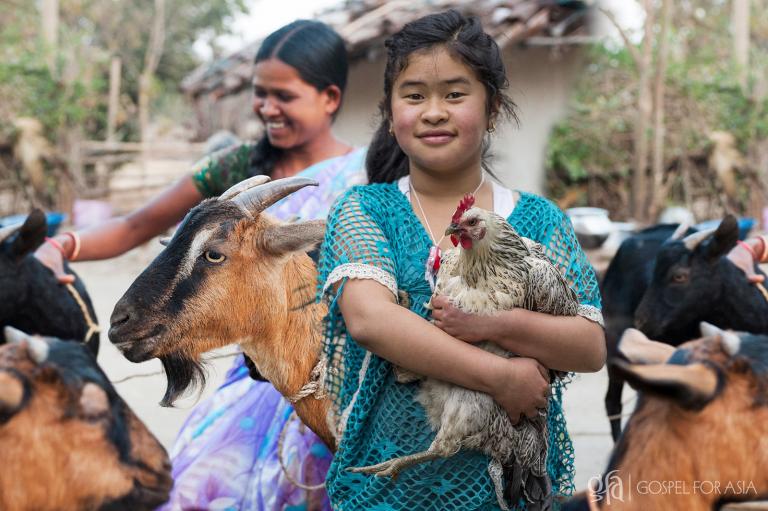 It’s that time of year again when Gospel for Asia and many other faith-based outreach organizations publish their Christmas gift catalogs. Two of the seemingly ubiquitous gifts available are chickens and goats.