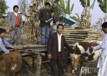 Pratul received a cow through a GFA-supported Christmas gift 10 years ago. Since then his cow has provided financial security & education for his children.