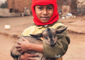 A gift of goats is one of the best gifts to give to families stuck in abject poverty in South Asia, Africa and elsewhere.