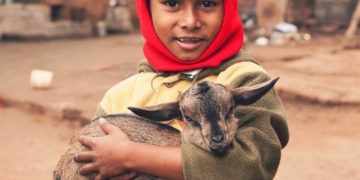 A gift of goats is one of the best gifts to give to families stuck in abject poverty in South Asia, Africa and elsewhere.