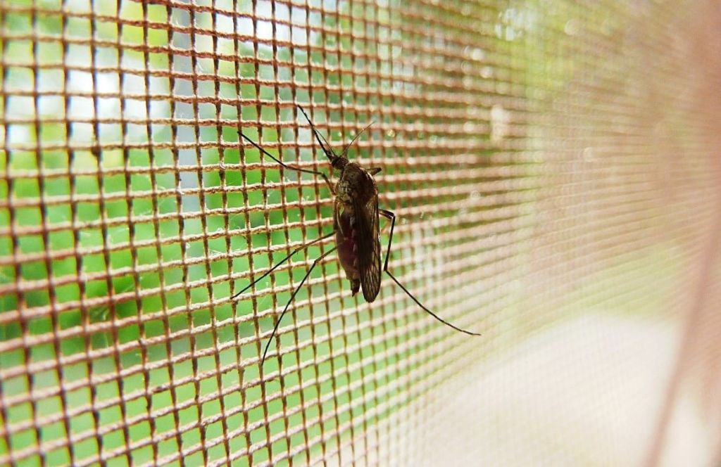 Malaria is becoming more drug resistant. One doctor specializing in malaria prevention has described it as “one of the biggest threats we face.”