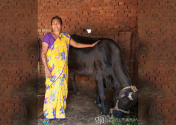 A dilemma lay before Rajvi and her husband, Parash: either sell their cows — a significant part of their livelihood—or endure sicknesses without medicine.