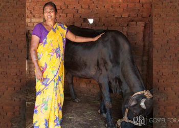 Discussing Rajvi and her husband, Parash – the all to common story of a family gripped by poverty – and the untold blessing a cow brings to lift an entire family from poverty.