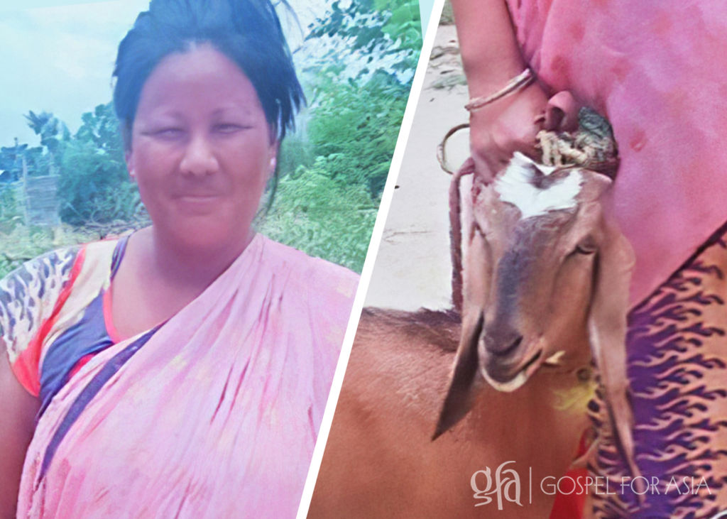 Discussing a story of violence against women, the story of Sanoja and her escape, and the blessing of a goat through GFA-supported Christmas distribution.