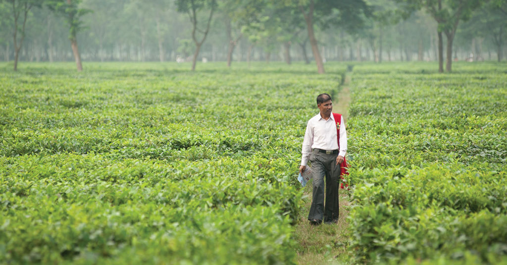 Discussing the harsh life of those living in tea estates, and the Gospel for Asia-supported pastor who show in big and small ways how much Jesus loves them.