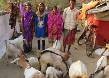 When the Sisters of Compassion found out about Dharma and Avani’s hardships with their finances, goats, they wanted to help.