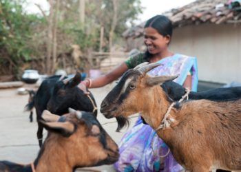 GFA World says a single farm animal can transform the fortunes of a family in dire poverty, providing food and sustainable income.