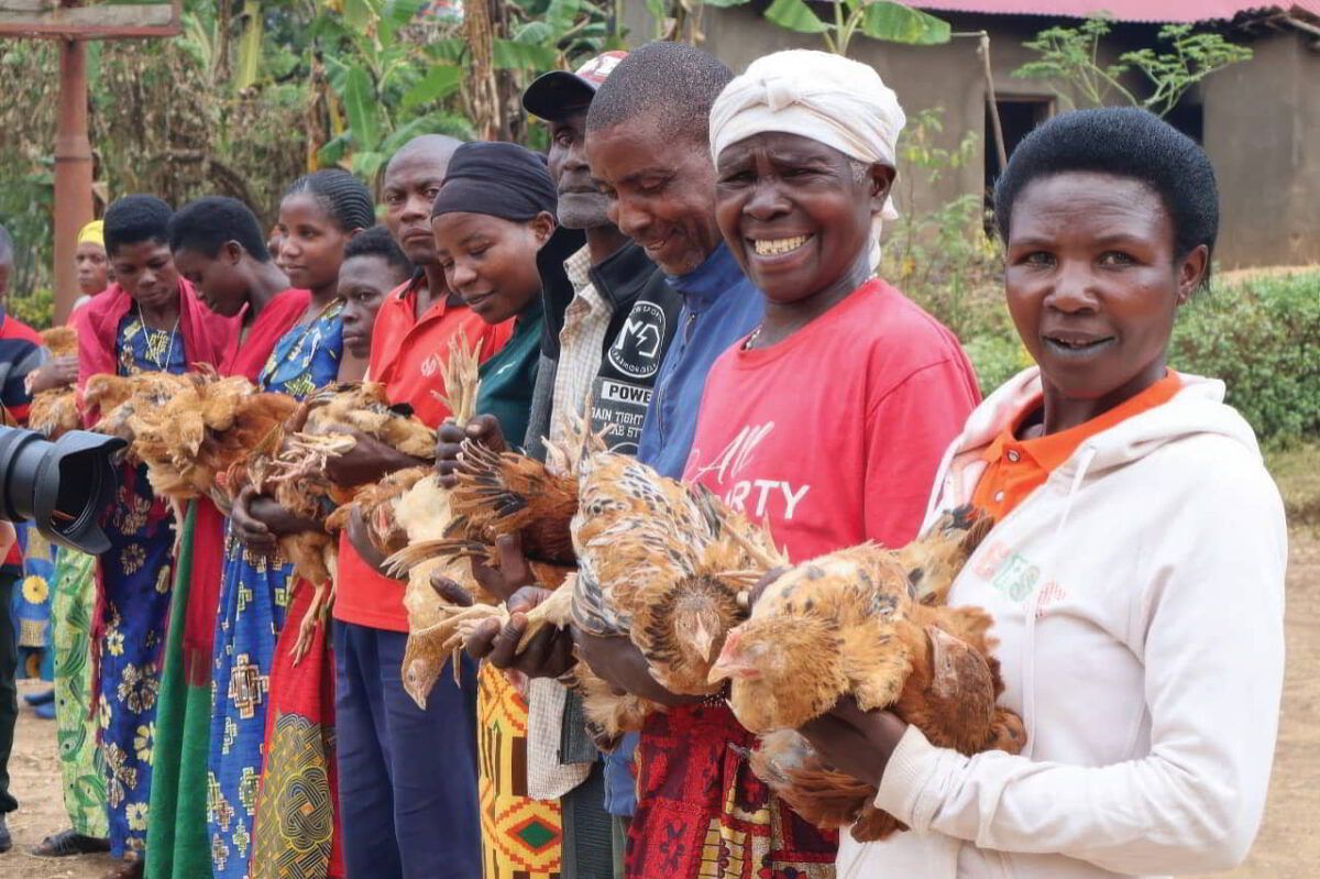 Christmas 'Chicken Challenge' Helps Families Fly Poverty Coop