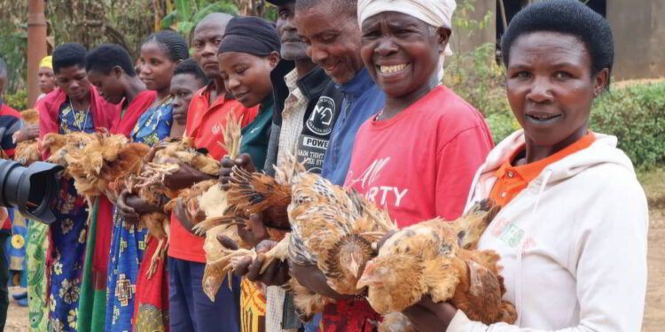 Christmas 'Chicken Challenge' Helps Families Fly Poverty Coop