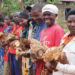 Christmas 'Chicken Challenge' Helps Families Fly Poverty Coop