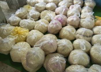 National Missionary Provides Food to Family During Lockdown