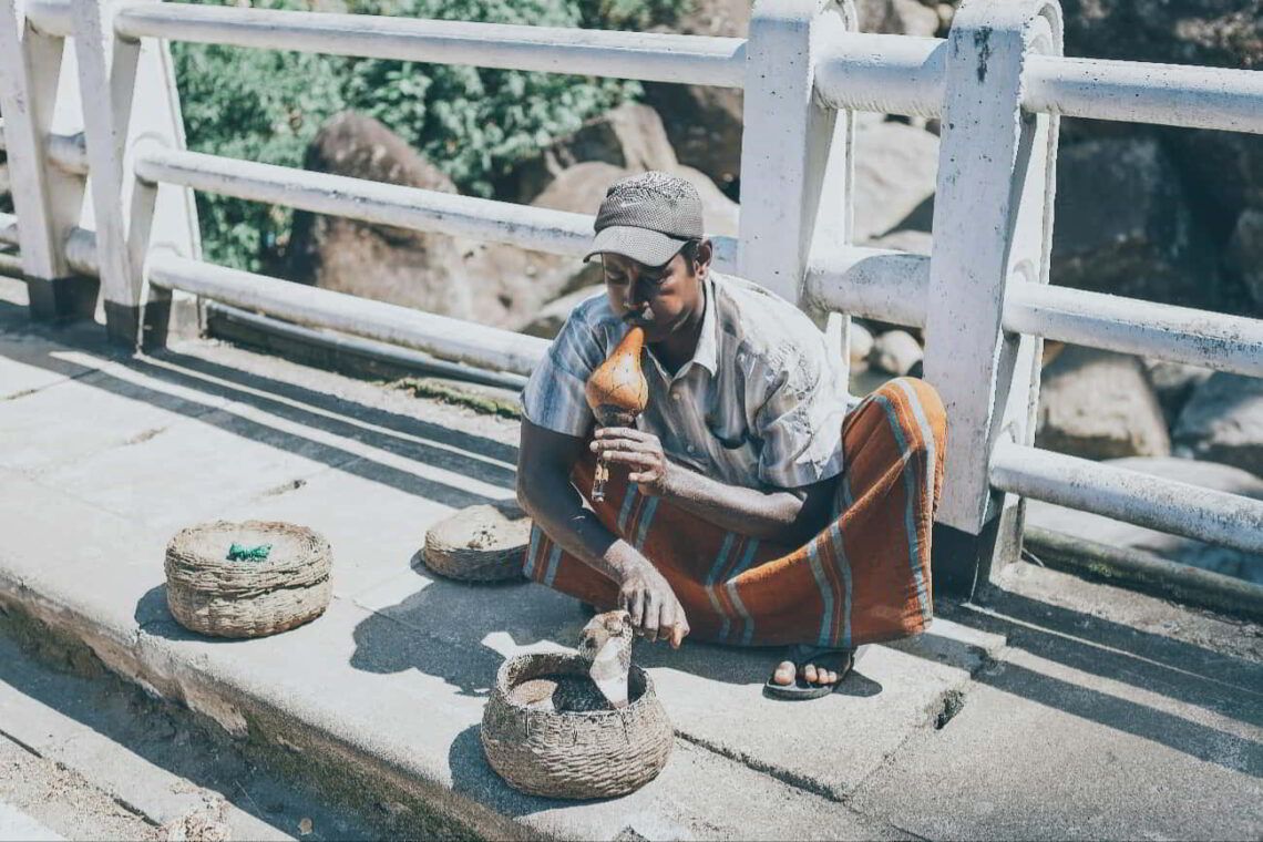 National Missionary Child Sponsorship Lifts Snake Charmers from Poverty