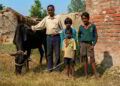 Gift Cow for Income Turned Despair Into a New Future