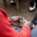 Christian Literature and the Friend Who Shared Hope